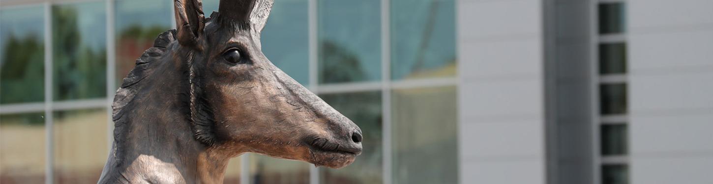 a photo of a bronze statue of a pronghorn on 体育菠菜大平台's campus